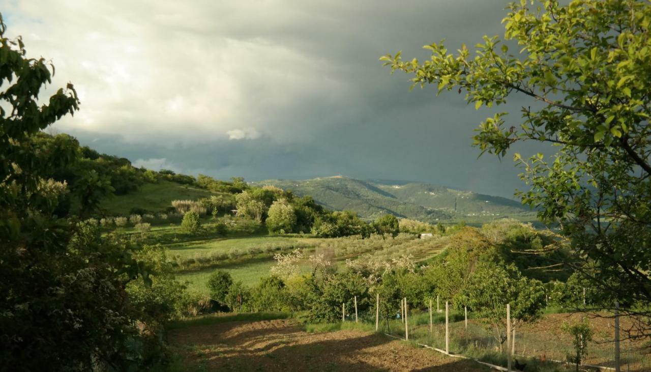 Terra Mirna Villa Vizinada Exterior photo
